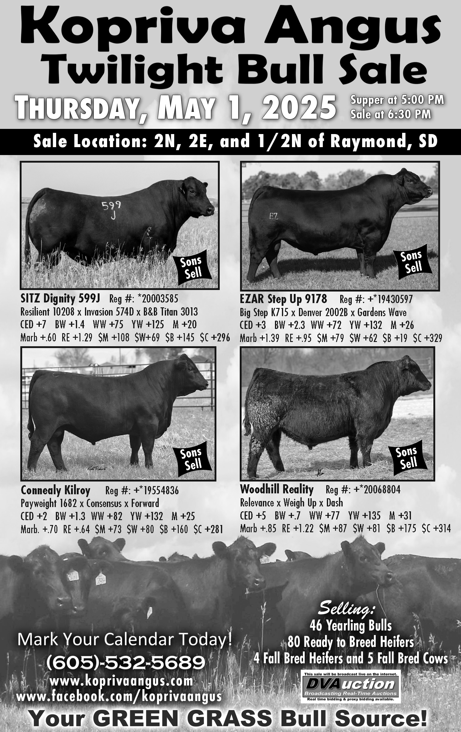 Kopriva 4 Bull Ad 3-20-25